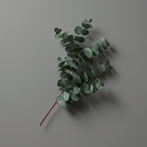 Crafting Silence from Stems & Shadows